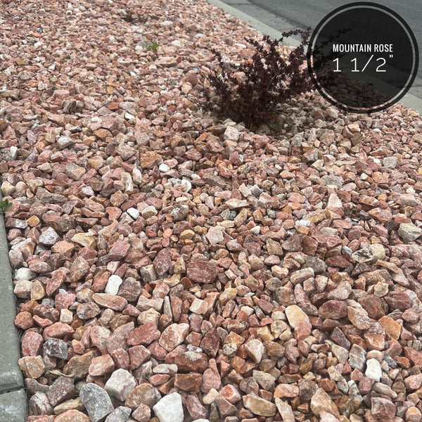 Mountain Rose 1 1/2" Minus
