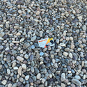 Arctic Pebbles 1/2" - 1" Riverton, Utah