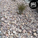 Santa Fe Cobble 4" (2" - 4")