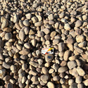 Santa Fe Cobble 1" - 2"
