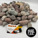 Montana Rainbow 1" - 1 1/2" Cobble