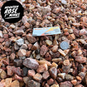 Mountain Rose 1" Minus