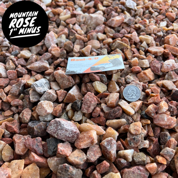 Mountain Rose 1" Minus