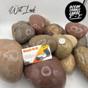 Ocean Cobble Large 2" - 7"