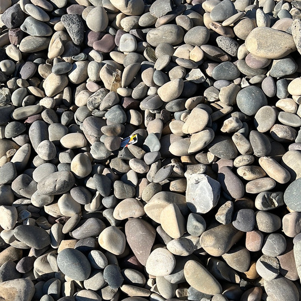 Canadian Blend Cobble 2" - 6"