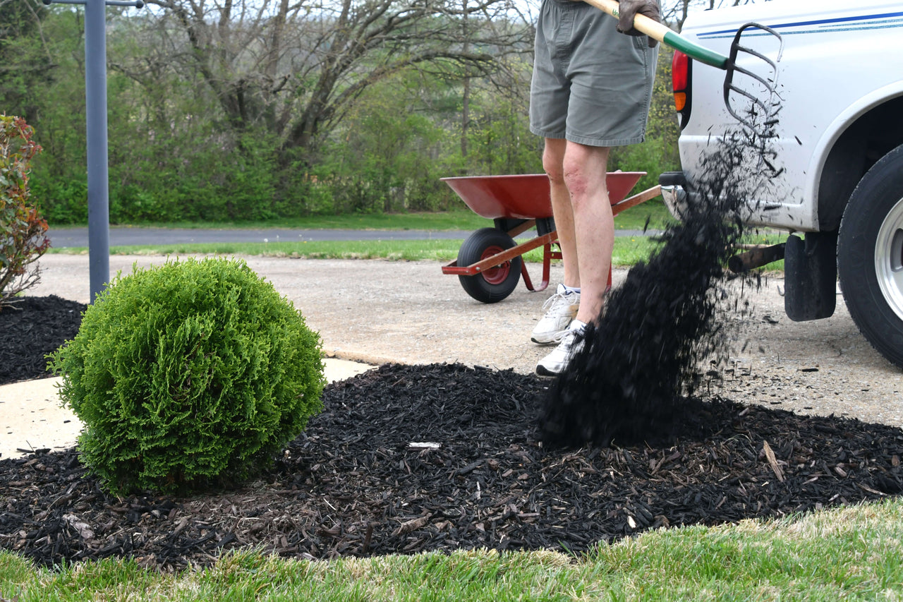 Save Water With These Landscape Materials