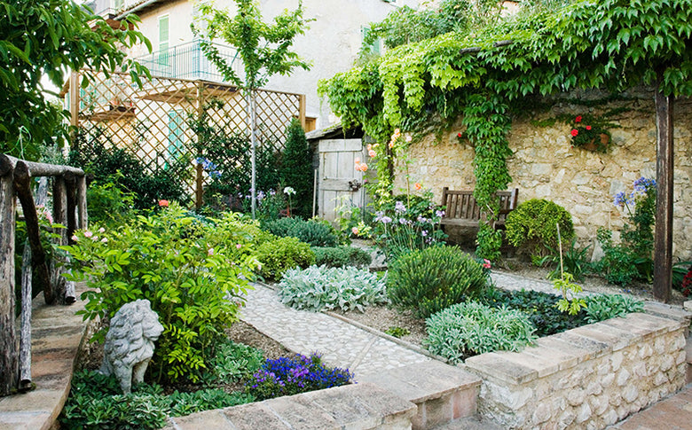 Xeriscaping Ideas For Your Yard
