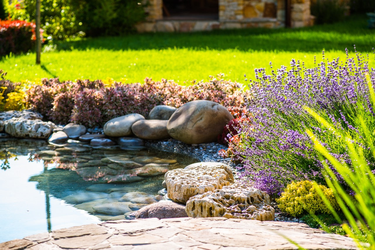 Landscaping 101: How to Beautify Your Backyard With Rocks & Boulders ...