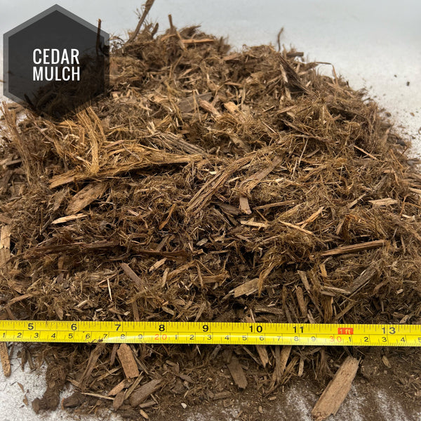 Cedar Mulch