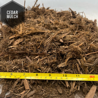 Cedar Mulch