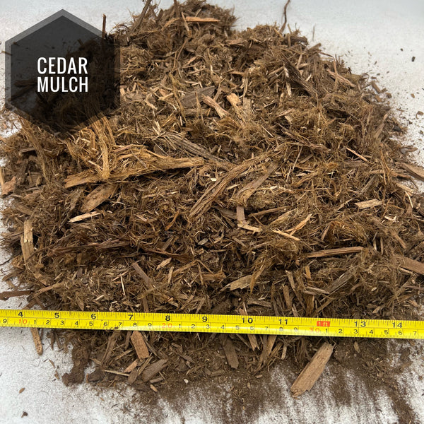 Cedar Mulch