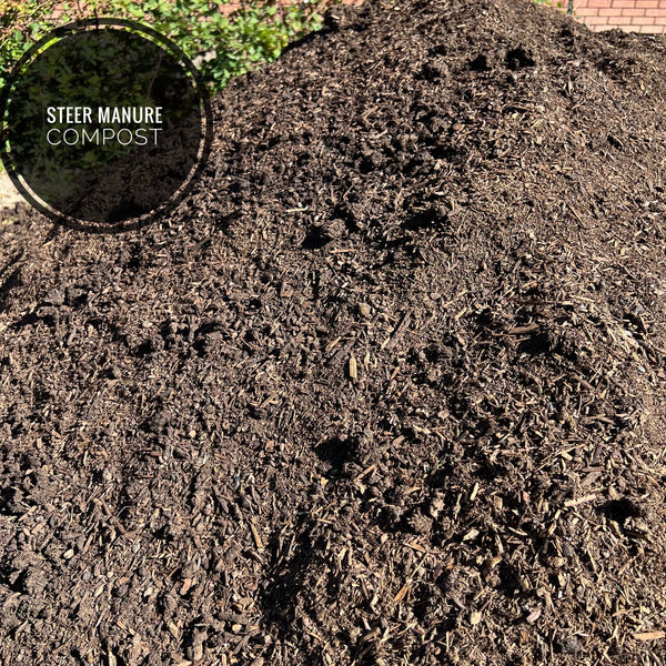 Compost - Steer Compost