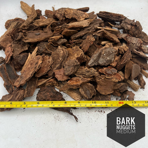 Bark Nuggets Medium