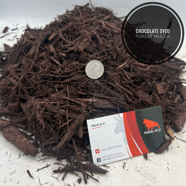 Chocolate Dyed Forest Mulch