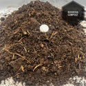 Compost Mushroom