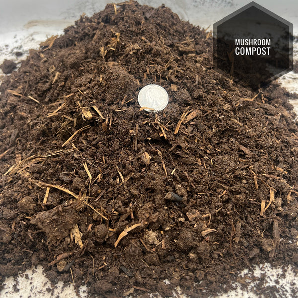 Compost Mushroom