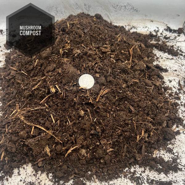 Compost Mushroom