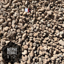 Nephi Cobble 1" - 2"