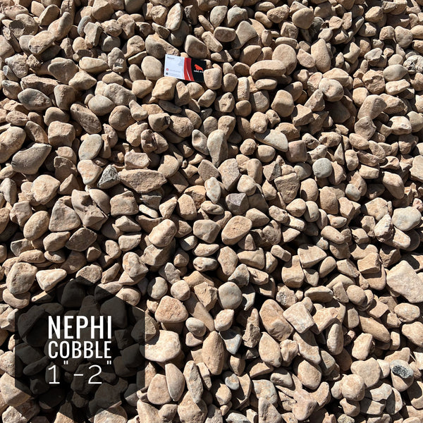 Nephi Cobble 1" - 2"