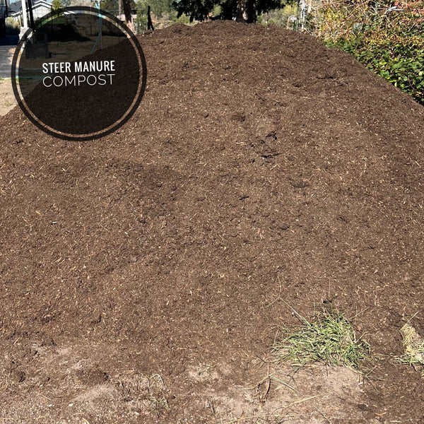 Compost - Steer Compost
