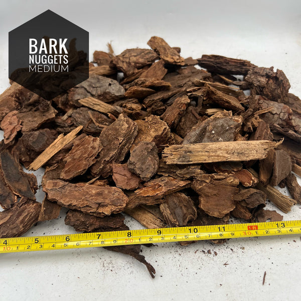 Bark Nuggets Medium