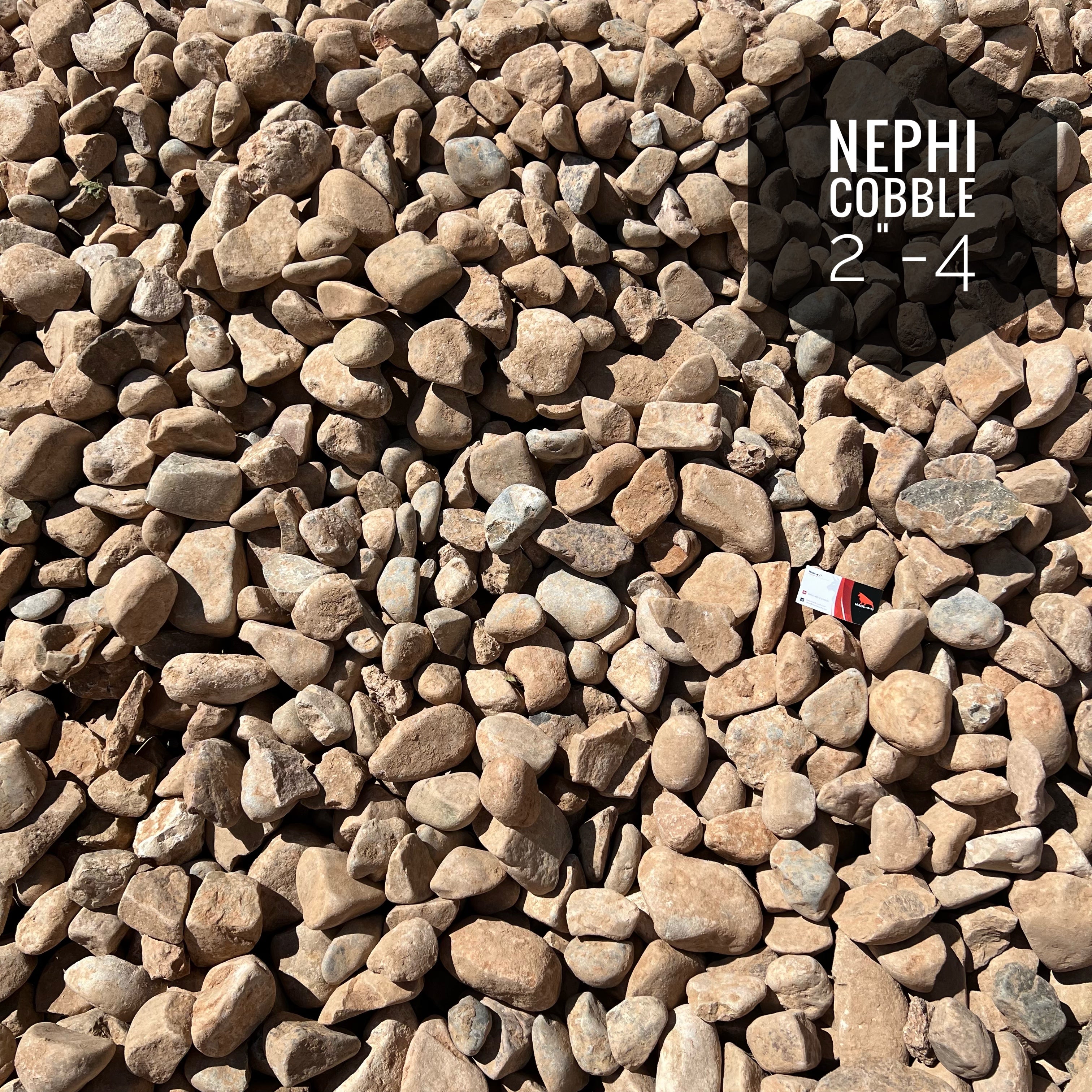 Nephi Cobble 2