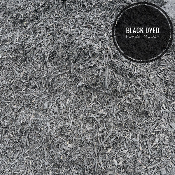 Black Dyed Forest Mulch