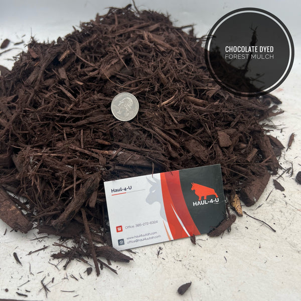 Chocolate Dyed Forest Mulch