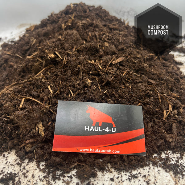 Compost Mushroom