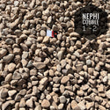 Nephi Cobble 1" - 2"