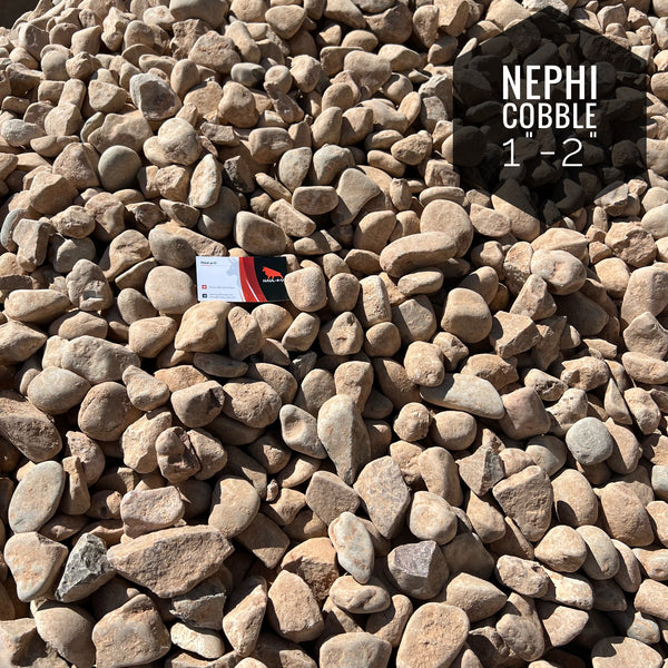 Nephi Cobble 1" - 2"