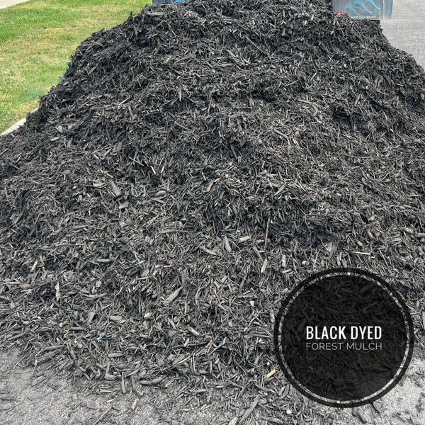 Black Dyed Forest Mulch