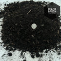 Topsoil Black Mountain Topsoil