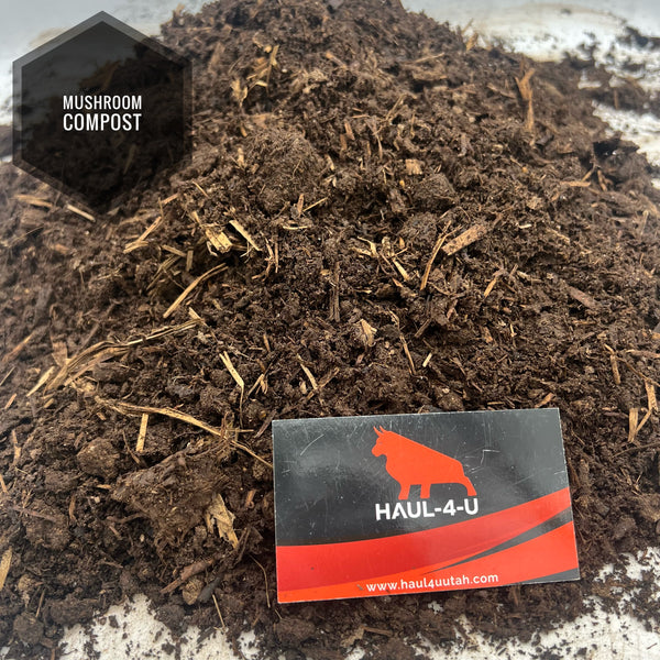 Compost Mushroom