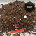 Compost Mushroom