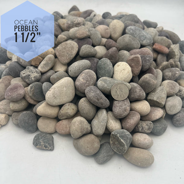 Ocean Pebbles 1 1/2" River Rock