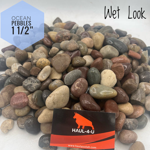 Ocean Pebbles 1 1/2" River Rock