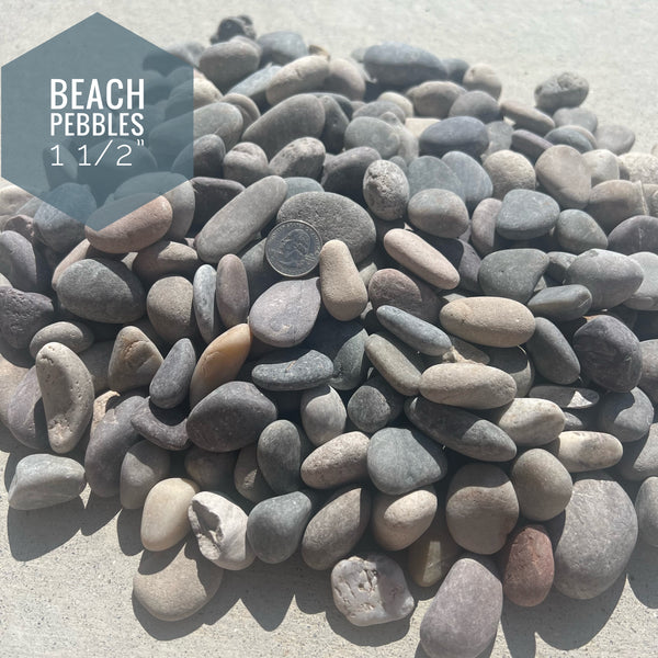 Beach Pebbles 1 1/2" River Rock