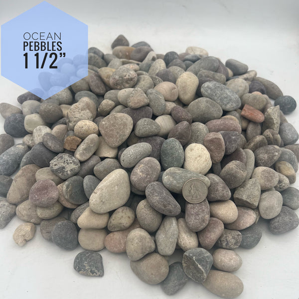 Ocean Pebbles 1 1/2" River Rock