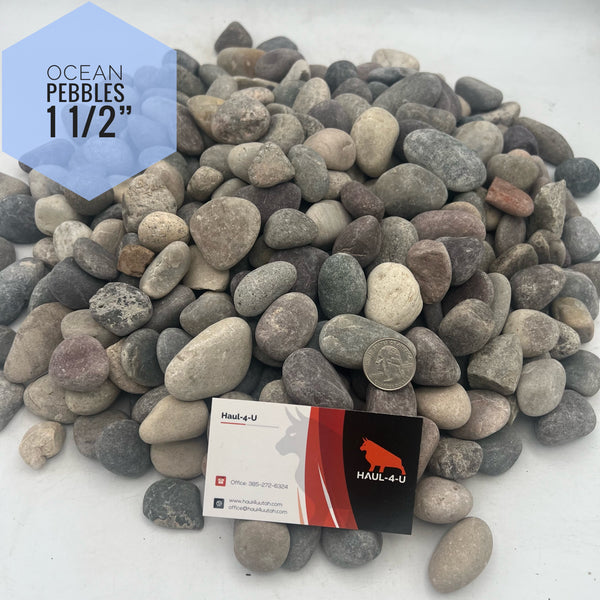 Ocean Pebbles 1 1/2" River Rock