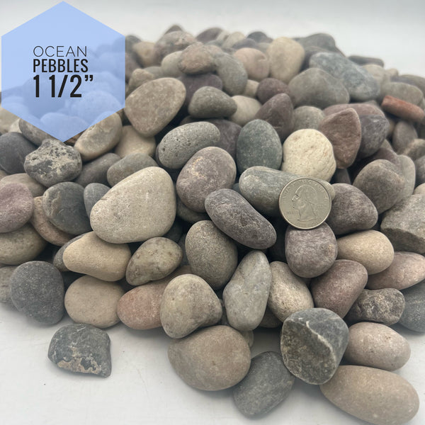 Ocean Pebbles 1 1/2" River Rock