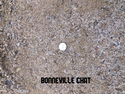 Chat Bonneville Pathway Material
