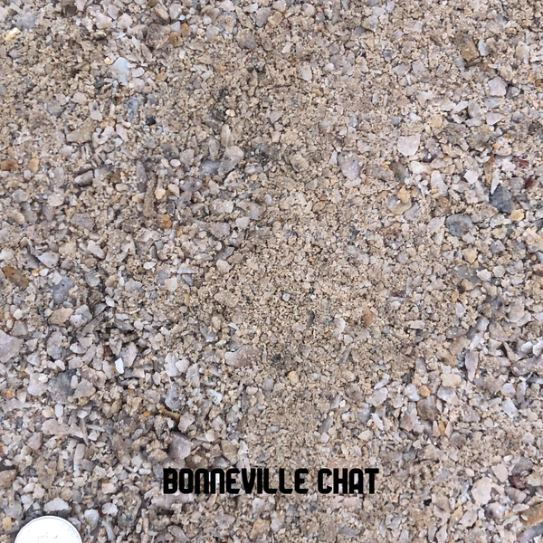 Chat Bonneville Pathway Material