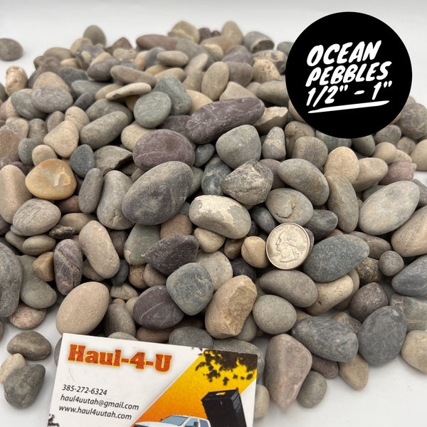 Ocean Pebbles (1/2" - 1")