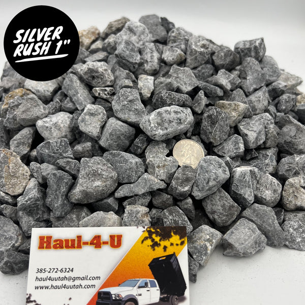 Silver Rush 1" Rock