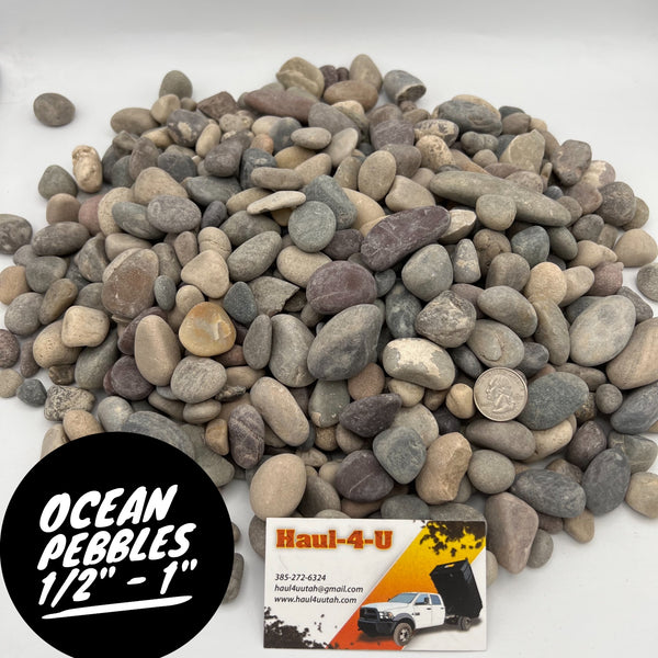 Ocean Pebbles (1/2" - 1")