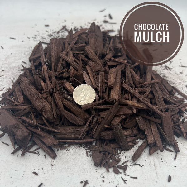 Chocolate Mulch