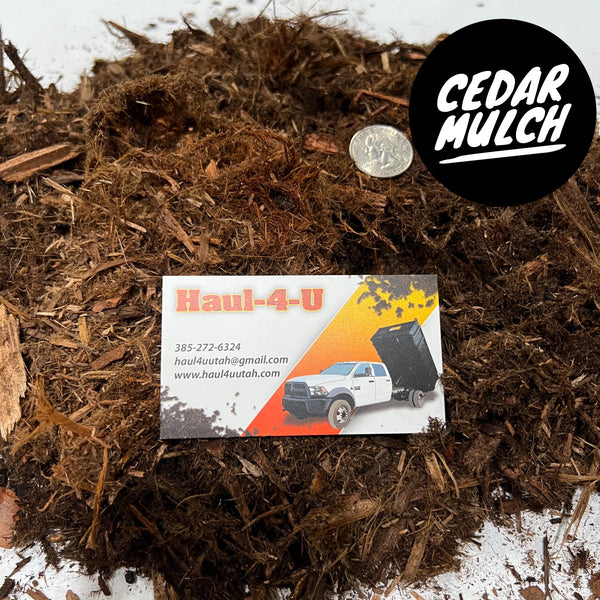 Cedar Mulch
