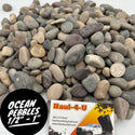 Ocean Pebbles (1/2" - 1")