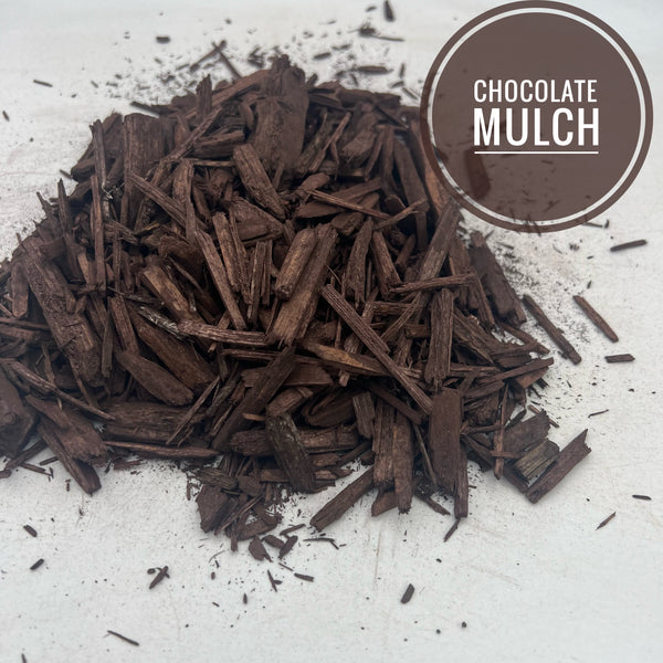Chocolate Mulch